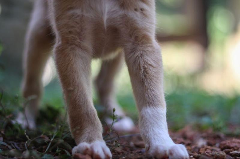 Aktywność fizyczna a krzywica