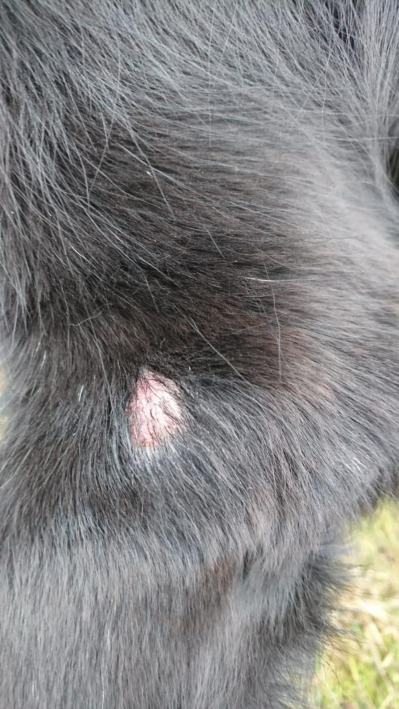 Diagnostyka i leczenie włókniaków