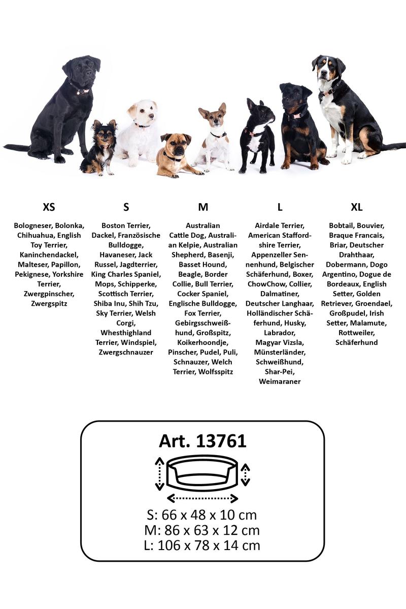 Historia English Toy Spaniela