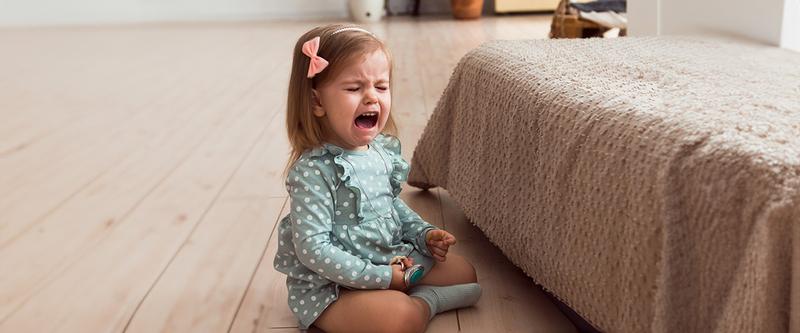 Lek separacyjny dla psa