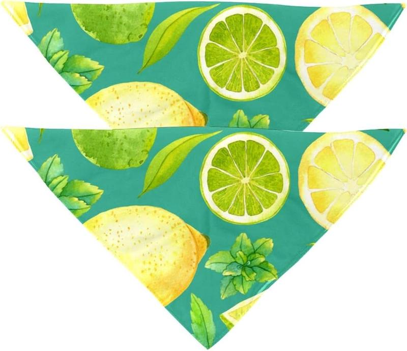 Owoce bezpieczne dla psów