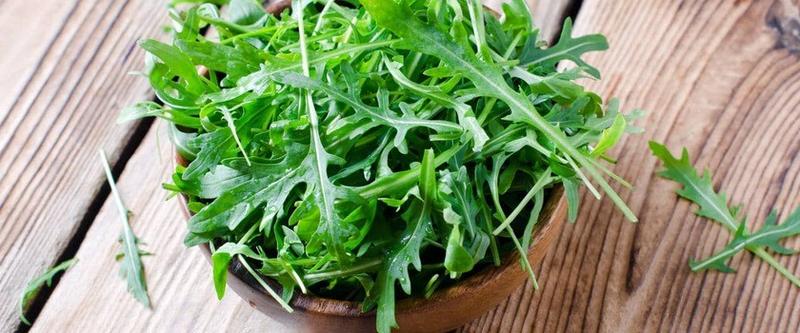 Warzywa dla chomików