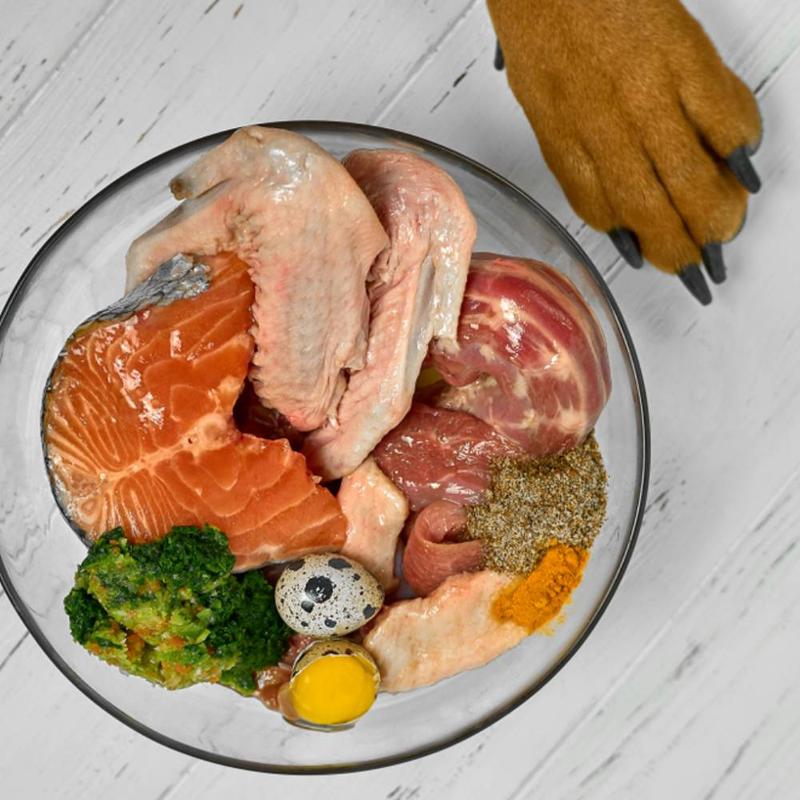 Zagrożenia raw feeding