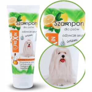 Czy cytryna jest szkodliwa dla psiaków? Sprawdzamy, czy pies może jeść ten owoc