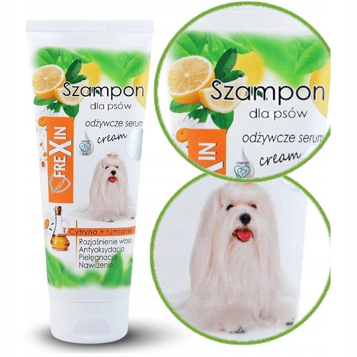 Czy cytryna jest szkodliwa dla psiaków? Sprawdzamy, czy pies może jeść ten owoc