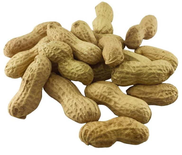 Czy orzechy arachidowe są bezpieczne dla psa? Sprawdzamy, co warto wiedzieć