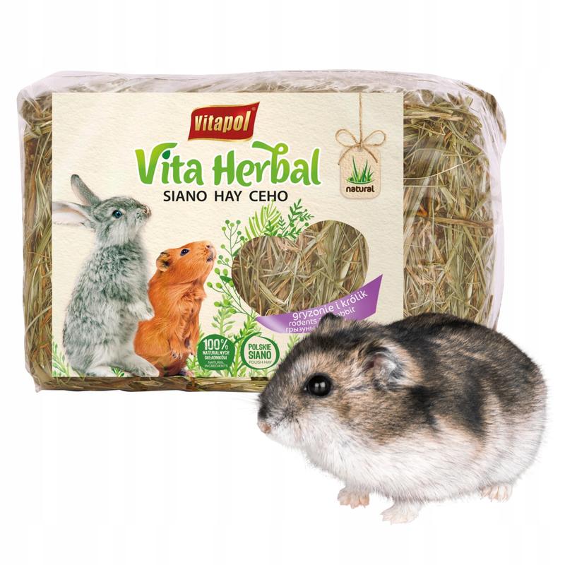 Czy siano to odpowiedni pokarm dla chomików? Sprawdź to!