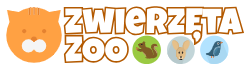 Zwierzęta-Zoo.pl