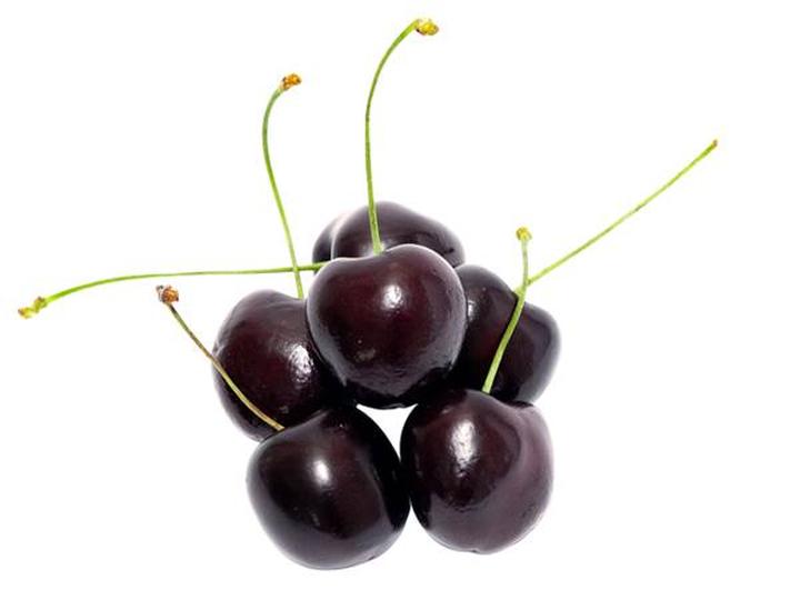 Bezpieczeństwo dla psów