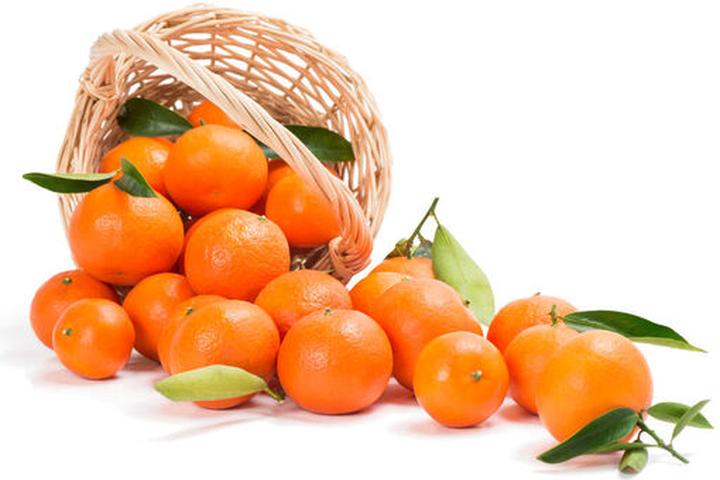 Bezpieczne przysmaki dla psów