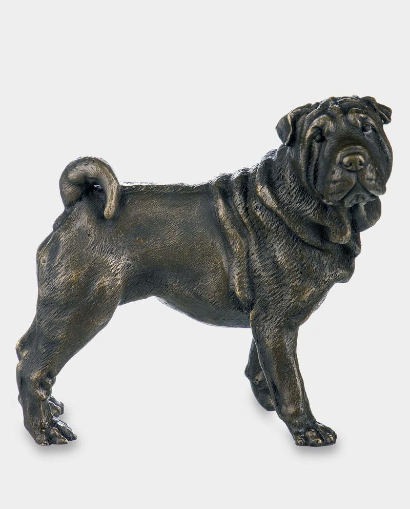 Charakterystyka rasy shar pei
