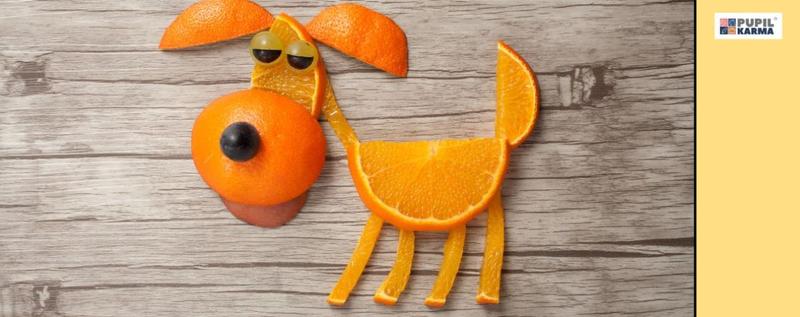 Cytrusy a zdrowie pupila