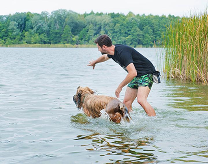 Gry wodne dla psów