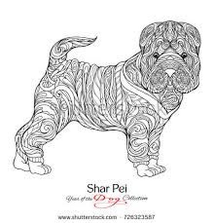 Historia rasy shar pei