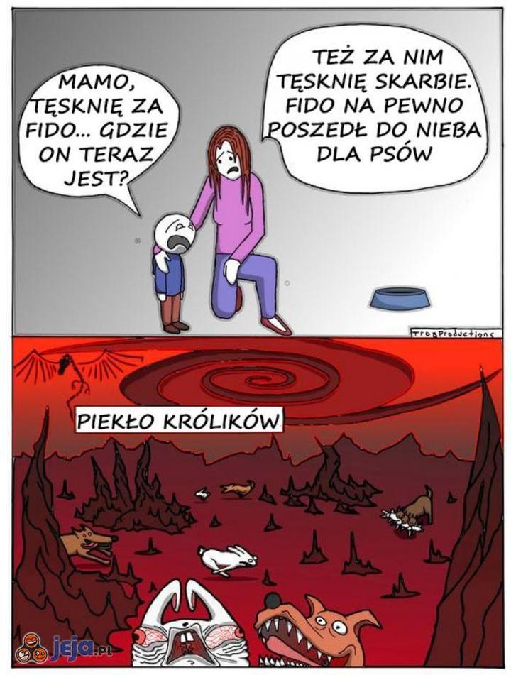 Komunikacja ze zwierzętami