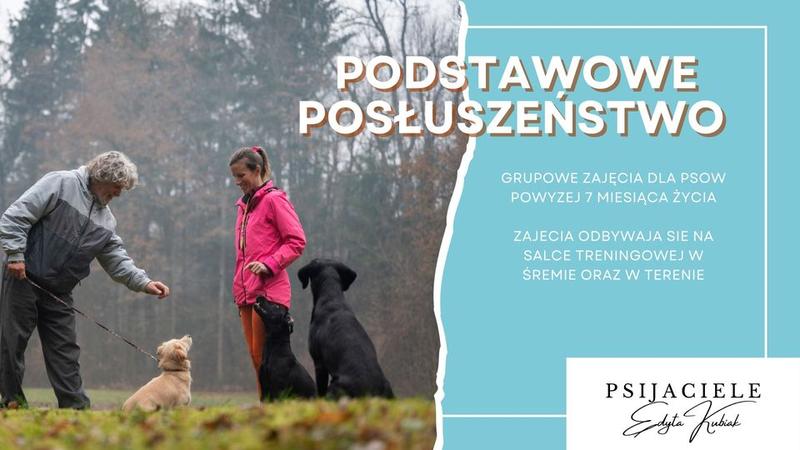 Nauka posłuszeństwa psa
