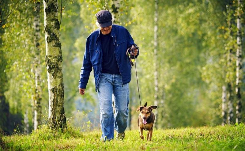 Przyczyny szczekania u psów
