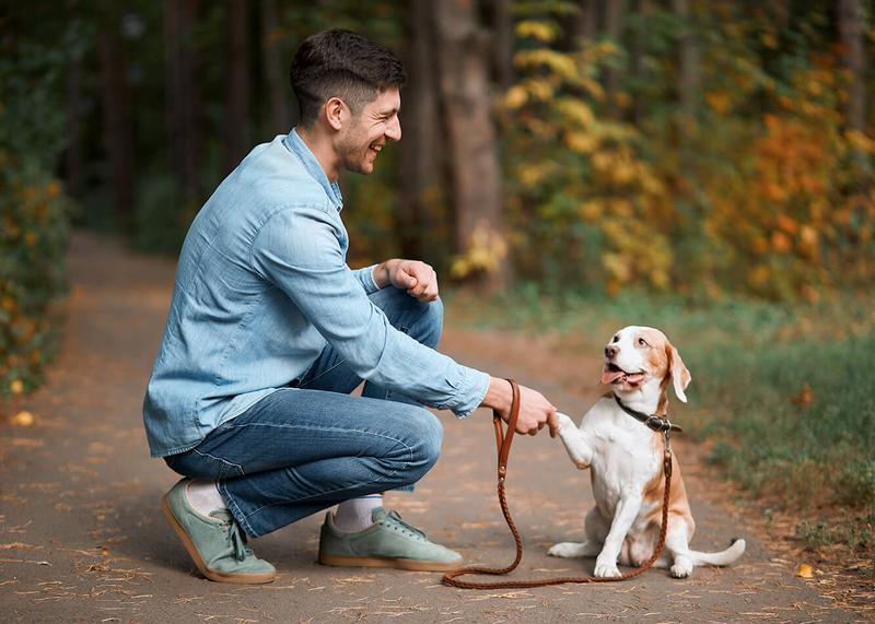 Rutyna w nauczaniu psa