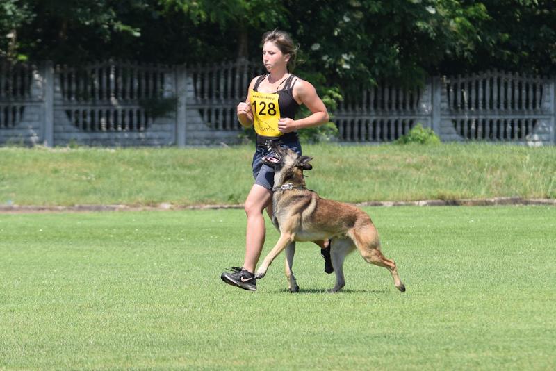 Skuteczne szkolenie psa