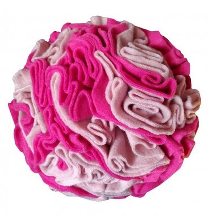 Stymulacja umysłowa psów