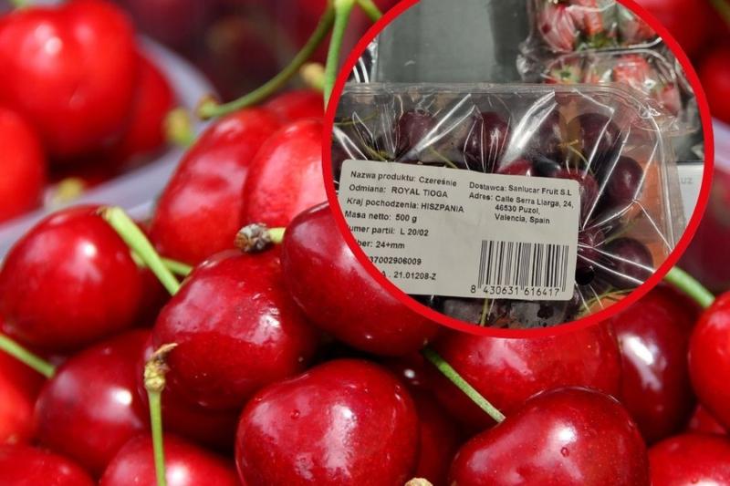 Szkodliwe owoce dla psów