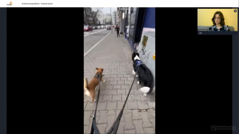 Techniki szkoleniowe dla psa