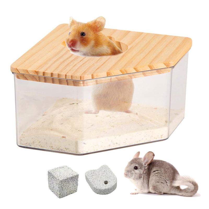 Co musisz wiedzieć o kąpieli chomików? Poradnik dla właścicieli.