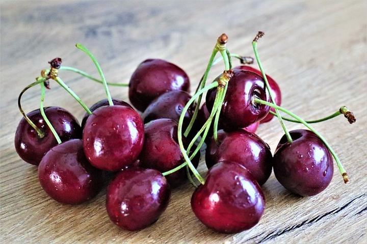 Czy czeresnie są bezpieczne dla psów? Odkrywamy ich szkodliwość!