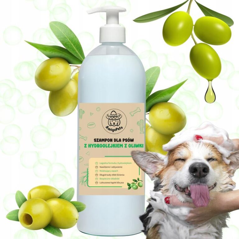 Czy oliwki są bezpieczne dla psów? Sprawdzamy, czy mogą szkodzić czy nie