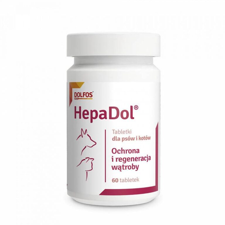 Jak zadbać o psa po narkozie i ile czasu potrzebuje na regenerację?