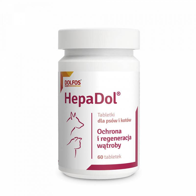 Jak zadbać o psa po narkozie i ile czasu potrzebuje na regenerację?