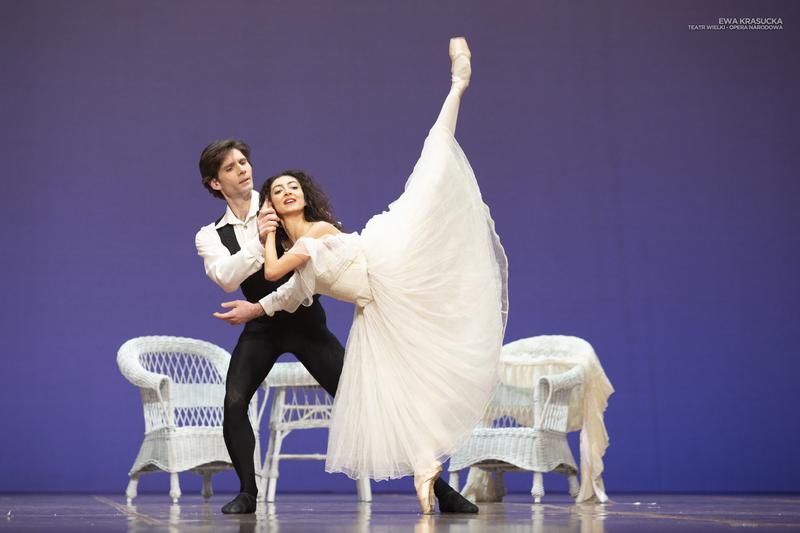 Odkrywając Wielkiego Dama: Charakterystyka i Opis Fascynującej Rasy