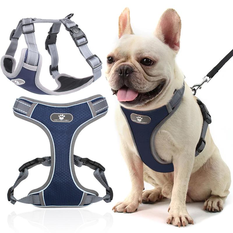 Bezpieczeństwo psów