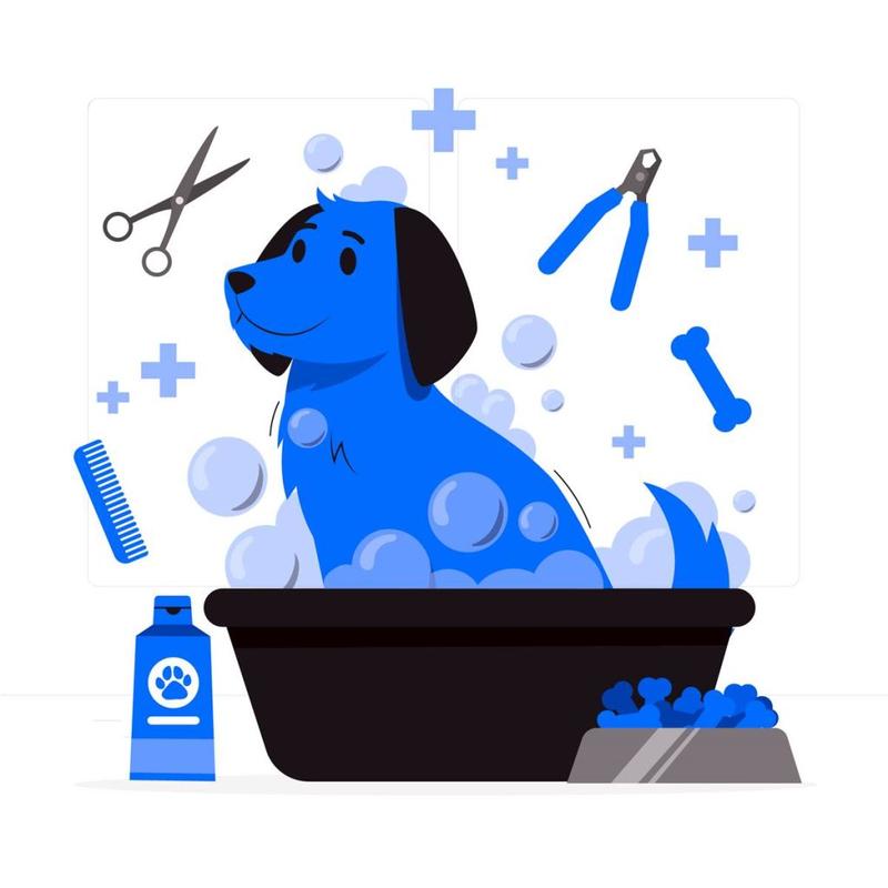 Dieta a sierść psa