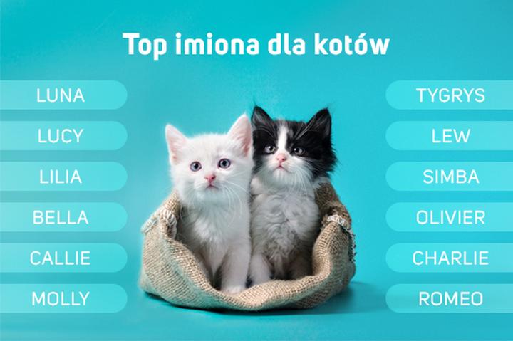 Imiona inspirowane kulturą