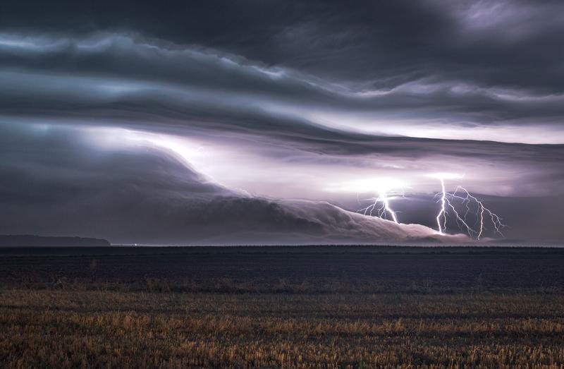 Leczenie nadziałka u psów