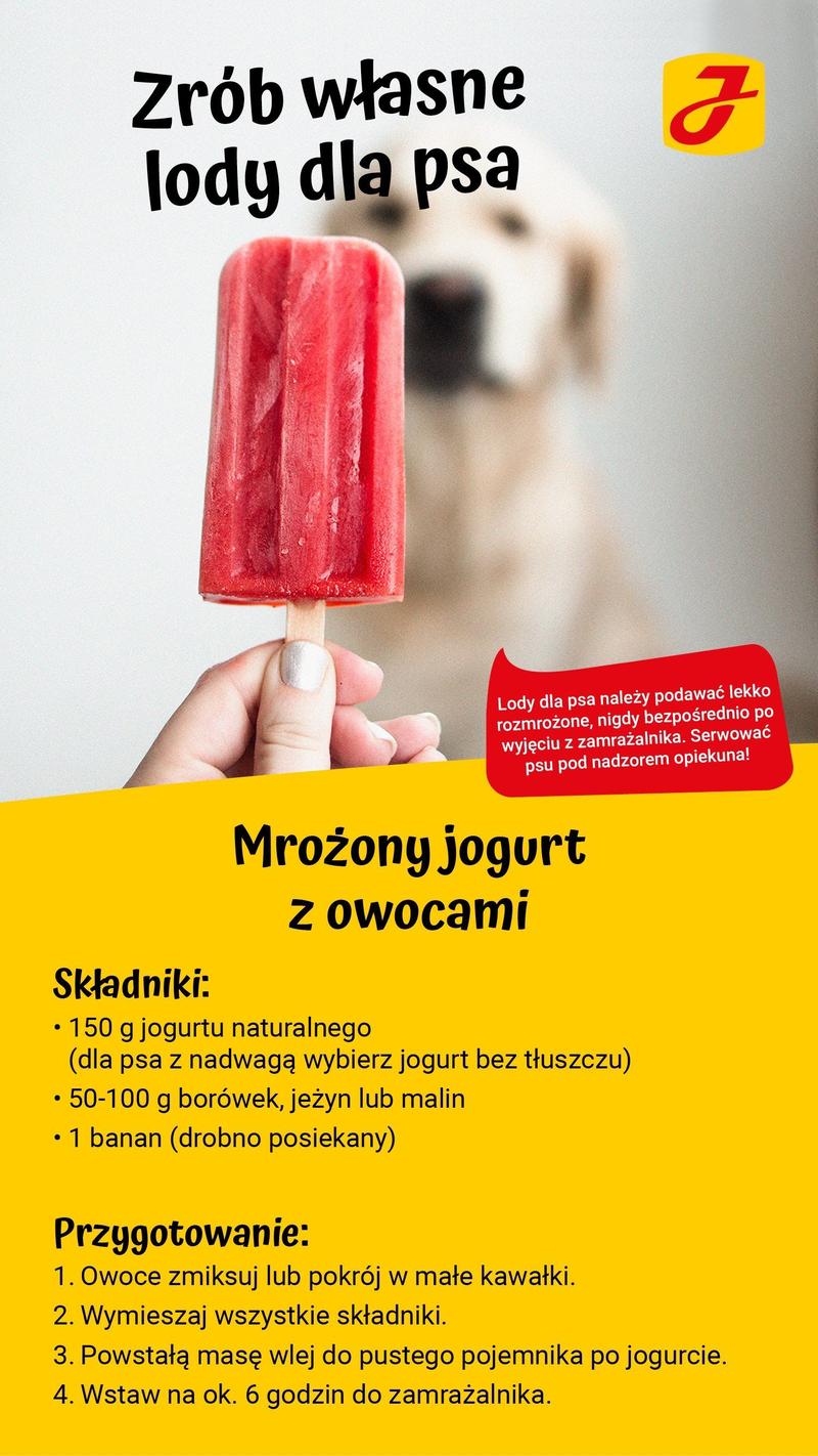 Lody dla psów