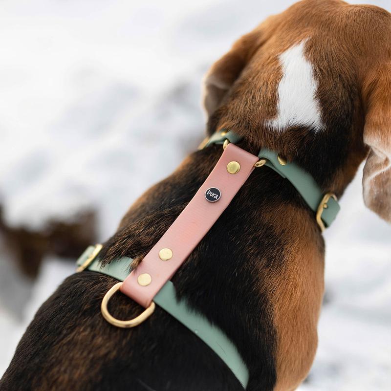 Materiały dla psów