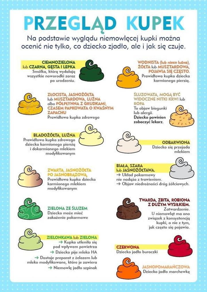 Problemy trawienne psa