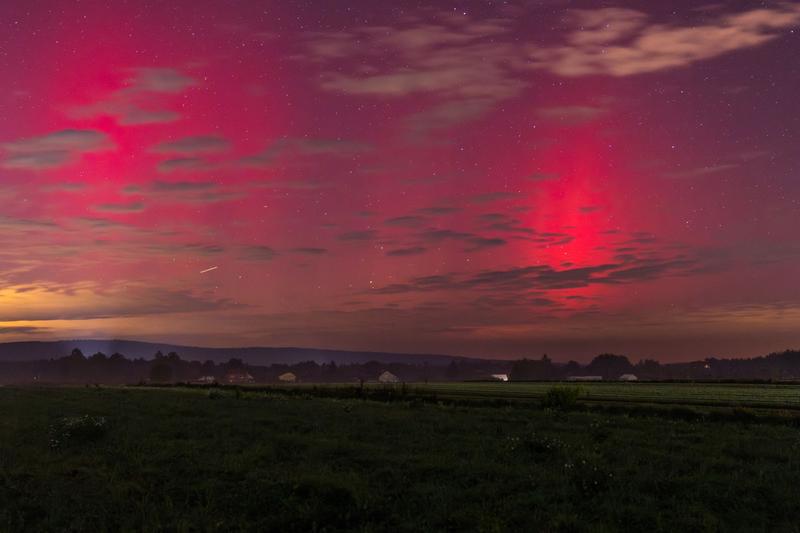 Profilaktyka nadziałek u psów