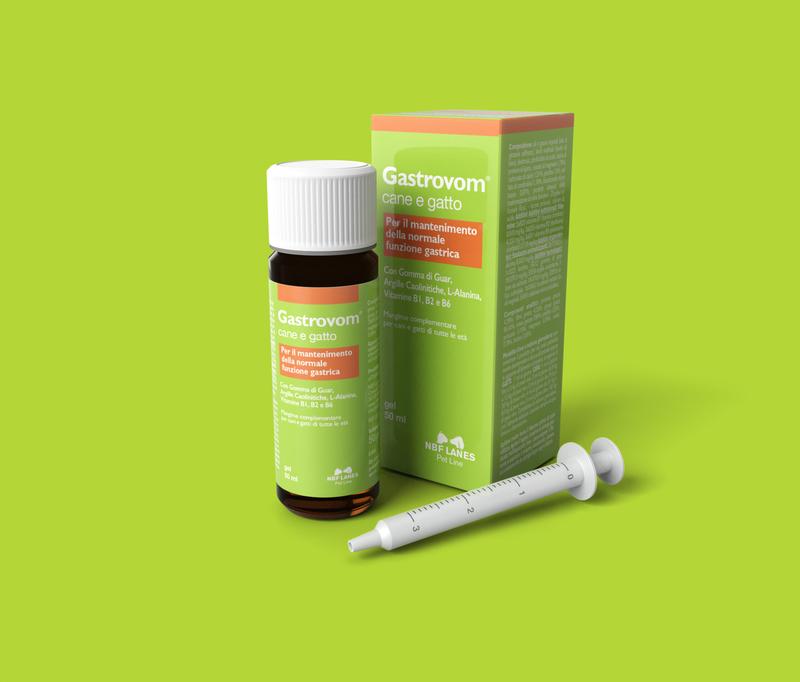 Przyczyny zgagi u psów