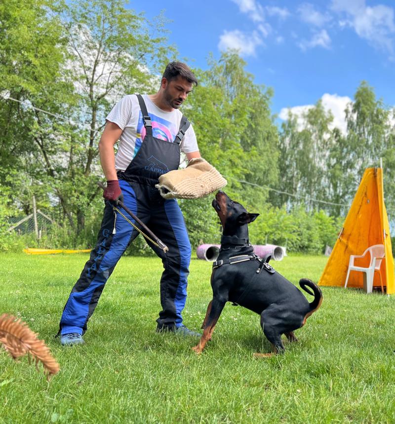 Szkolenie psa leżeć