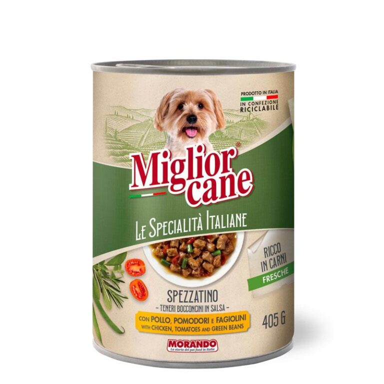 Czy fasola jest bezpieczna dla psa? Sprawdzamy, co warto wiedzieć