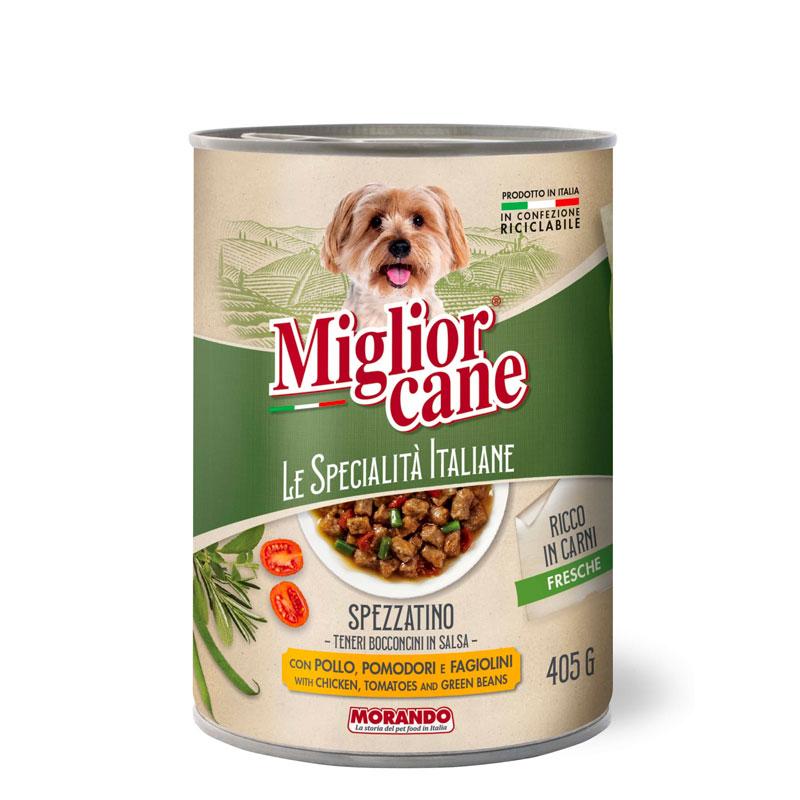 Czy fasola jest bezpieczna dla psa? Sprawdzamy, co warto wiedzieć