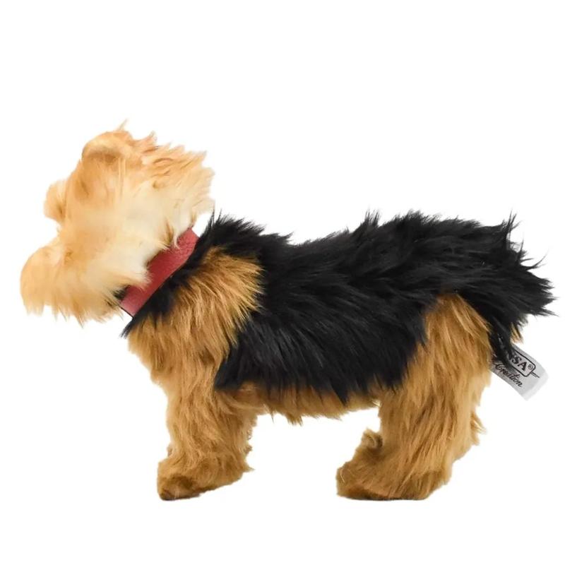 Jak dbać o yorkshire terriera, by cieszył się długim życiem?