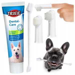 Odkryj skuteczne metody, jak nauczyć psa mycia zębów w domowym zaciszu