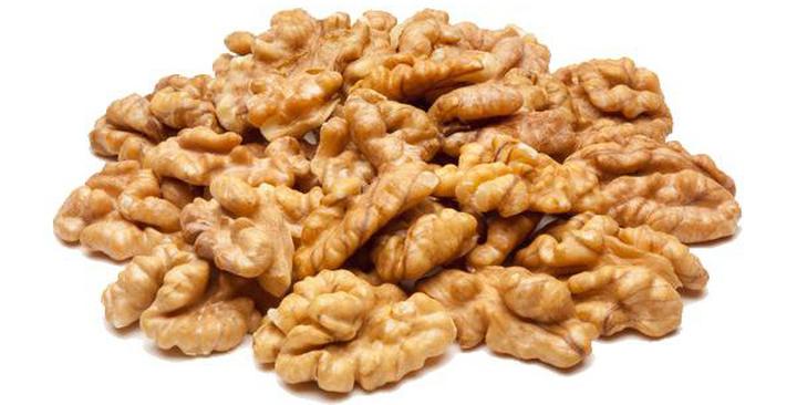 Alternatywy żywieniowe dla psów