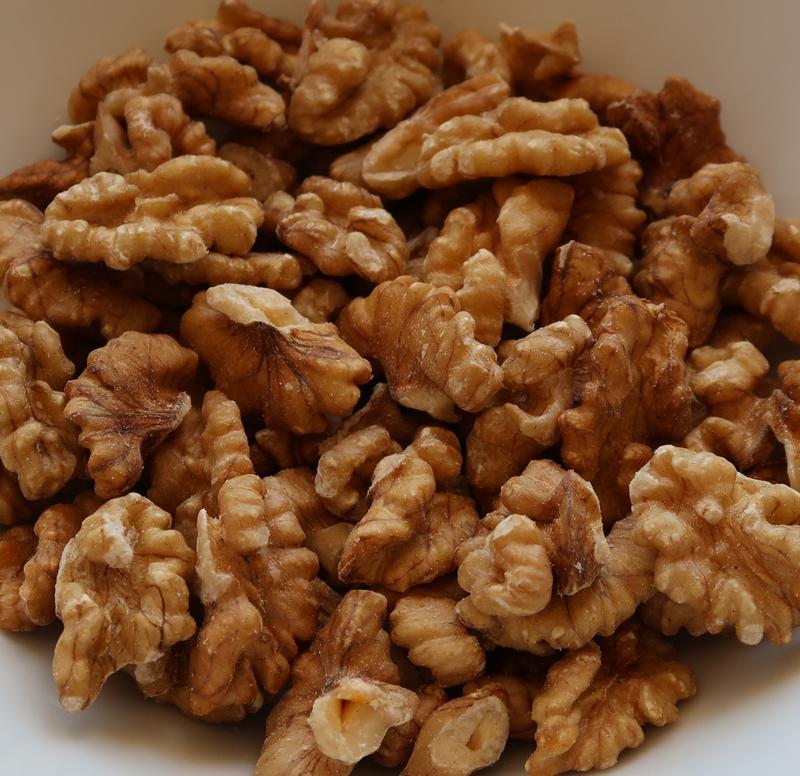 Bezpieczeństwo psów