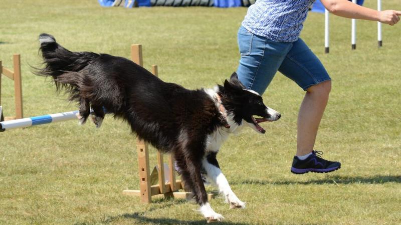 Błędy przy nauce komend