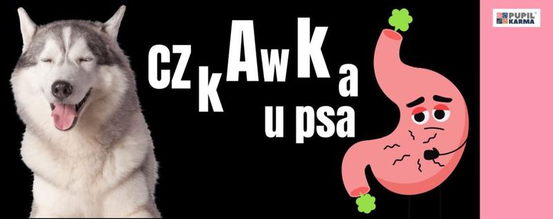 Czkawka a zdrowie psa